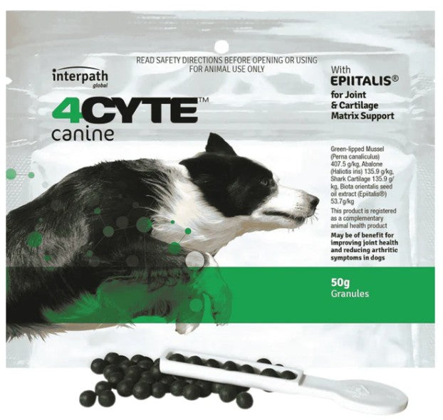 4cyte Joint Supplement - Granules for dogs