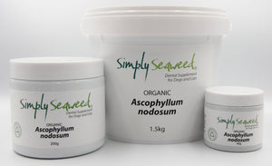 Seaweed dental supplement - for dogs and cats