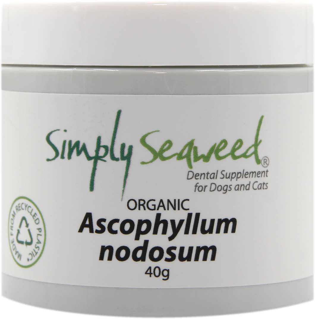 Seaweed dental supplement - for dogs and cats