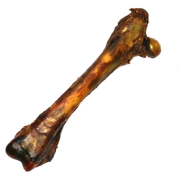 Kangaroo Bone Dog Treat
