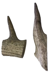 Deer Antler